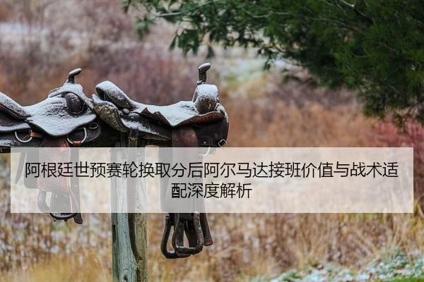 a-gen-ting-shi-yu-sai-lun-huan-qu-fen-hou-a-er-ma-da-jie-ban-jia-zhi-yu-zhan-shu-shi-pei-shen-du-jie-xi-2-689.jpg